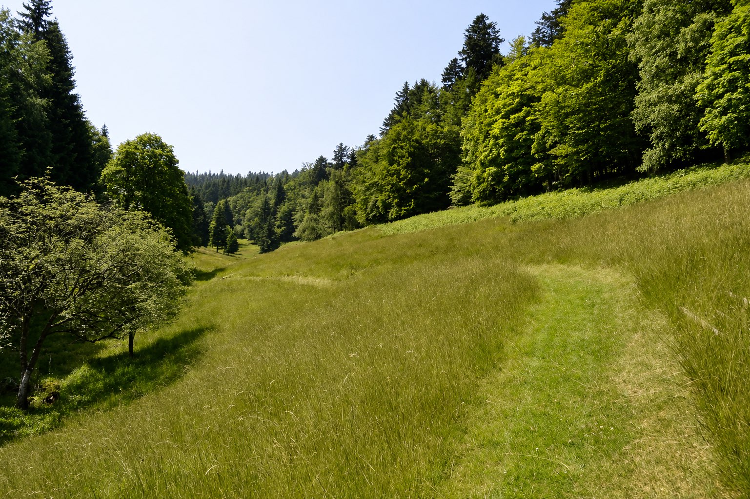 Ferme du Schneeberg à Wangenbourg-Engenthal